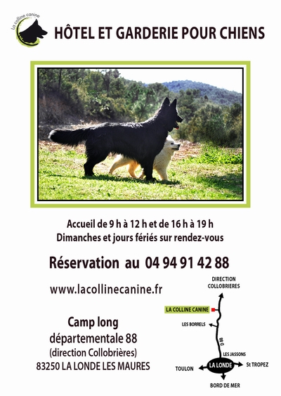 Flyer Pension